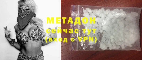 прущие грибы Михайловка