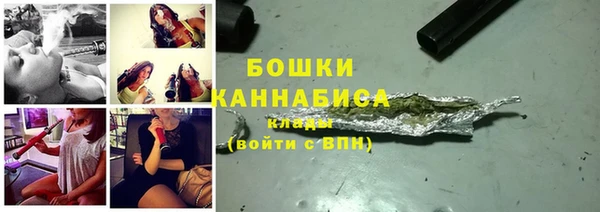 прущие грибы Михайловка