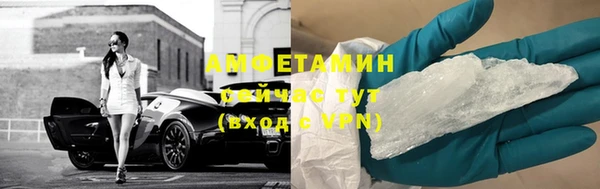 прущие грибы Михайловка