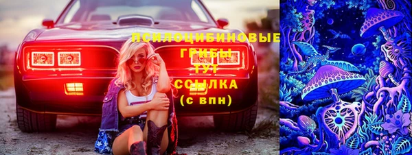 прущие грибы Михайловка