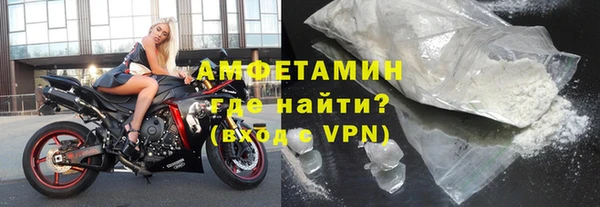 прущие грибы Михайловка