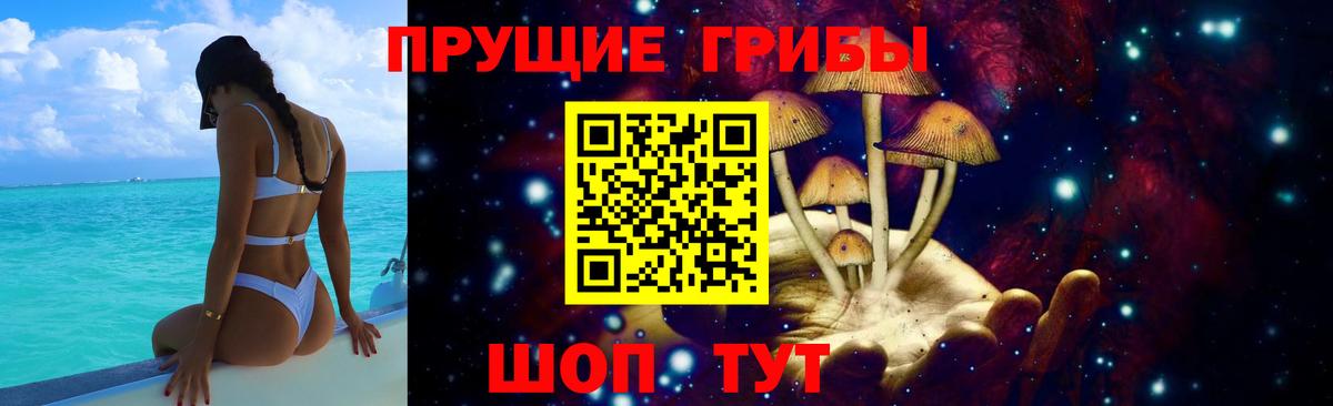 Псилоцибиновые грибы Psilocybe Норильск