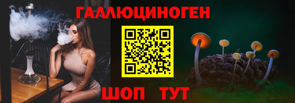 Норильск  Псилоцибиновые грибы Psilocybine cubensis  хочу наркоту  Псилоцибиновые грибы GOLDEN TEACHER  Вход с VPN 